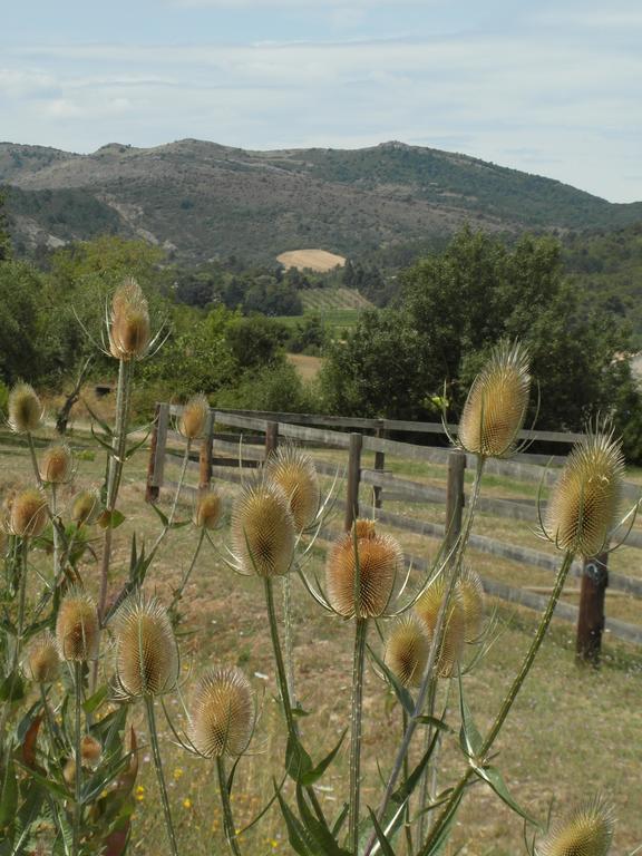 Bergerie Du Plo Villa Montlaur  Buitenkant foto