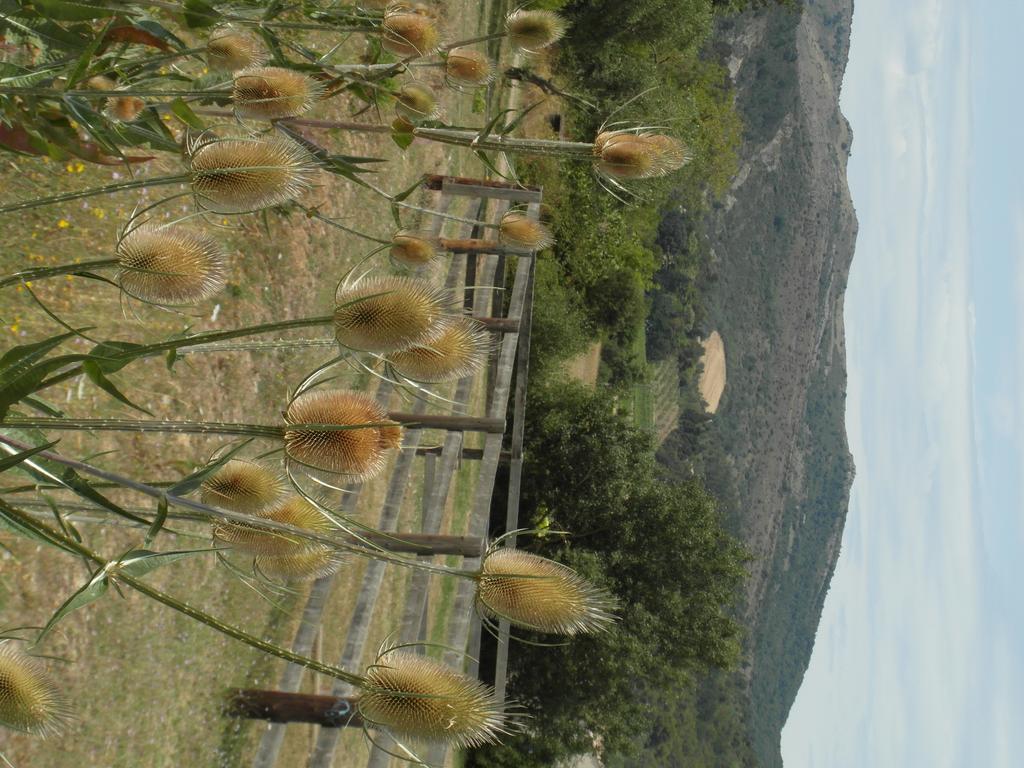 Bergerie Du Plo Villa Montlaur  Buitenkant foto
