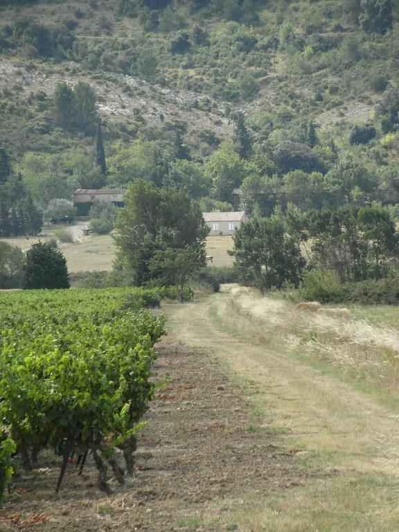Bergerie Du Plo Villa Montlaur  Buitenkant foto