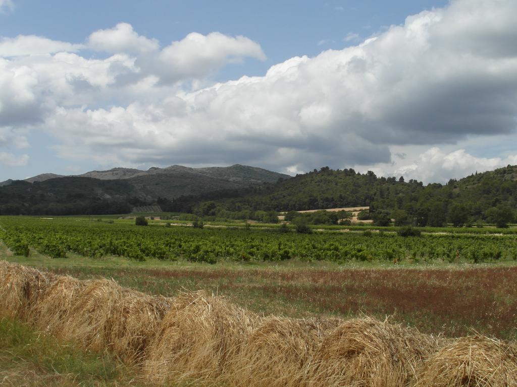 Bergerie Du Plo Villa Montlaur  Buitenkant foto